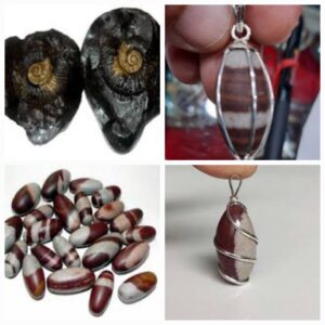 Narmdeshwar & Shaligram