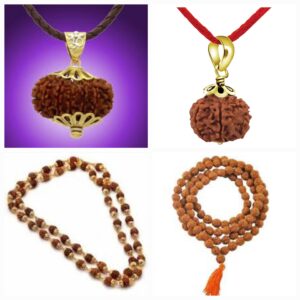 Rudraksha